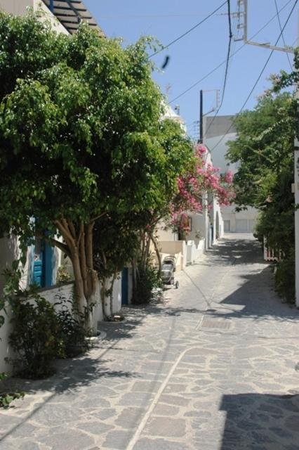 Hotel Anixis Resort Naxos City Exteriör bild